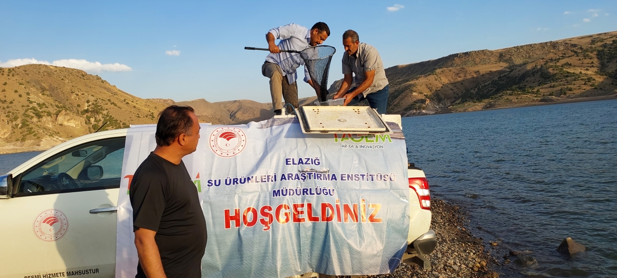 Fishing works were carried out in Karakurt DAM Reservoir. (05/09/2023 - Kars)