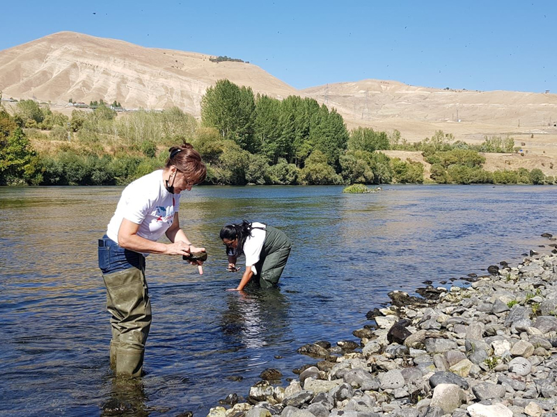 Our studies to monitor aquatic organisms in the Alpaslan 2 Dam Lake and Murat River. 