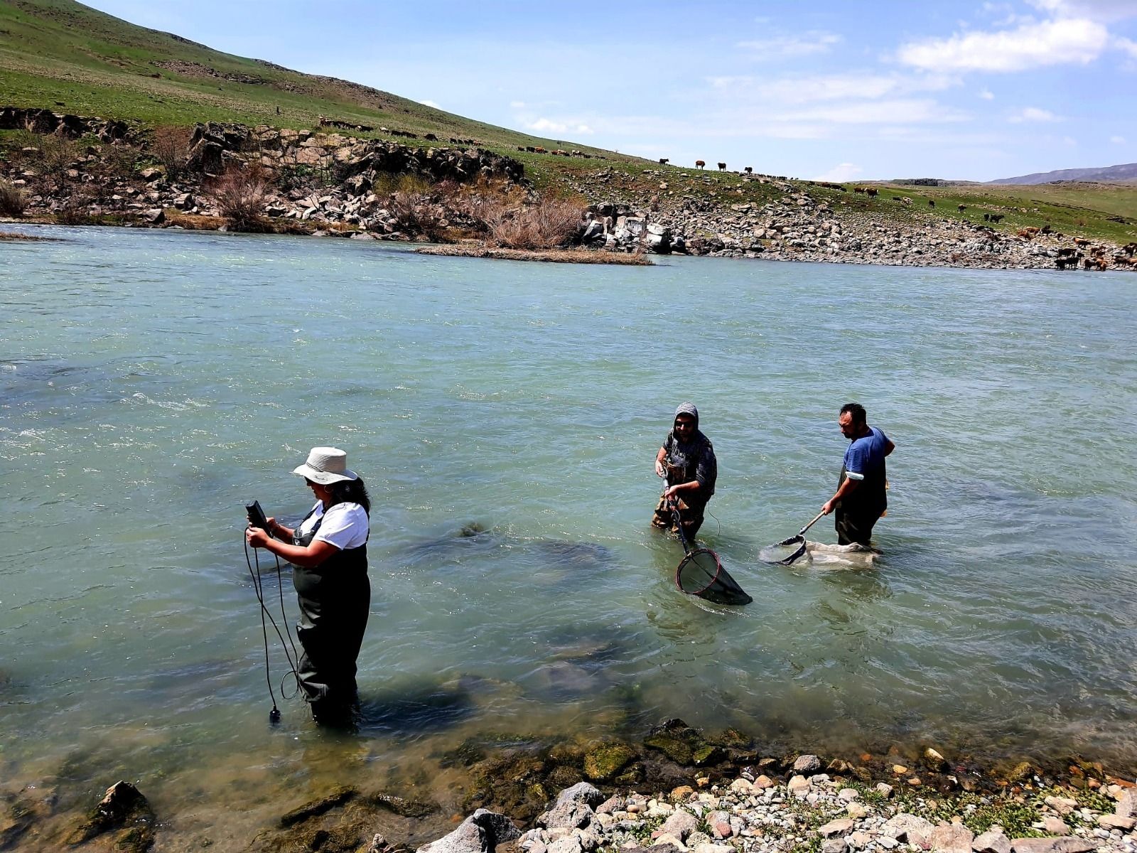 Alpaslan 2 Baraj Gölü ve Murat Nehrinde sucul organizmaların izlenmesine yönelik çalışmalarımız devam etmektedir.