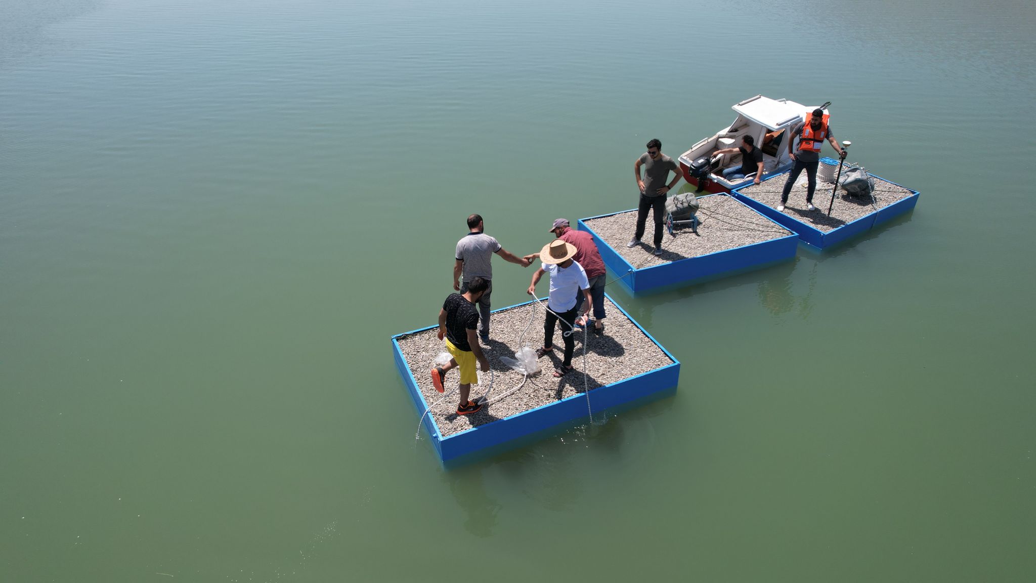 In Alpaslan 2 Dam Lake, 4 nesting rafts for target bird species were located at the determined coordinates. (Muş/Türkiye)