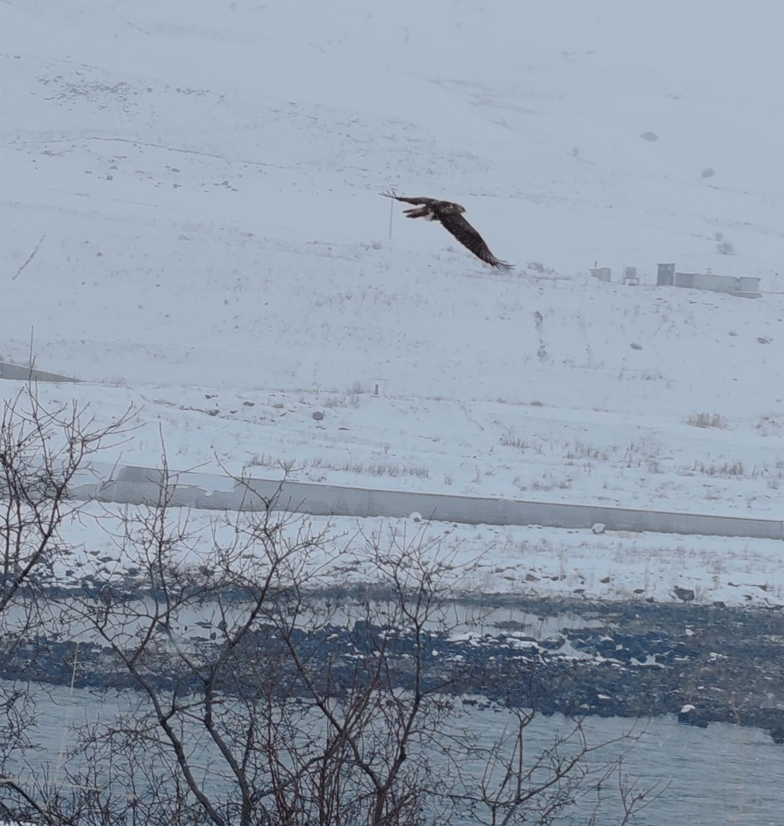 Energo-Pro Türkiye Continues to Support Wildlife.