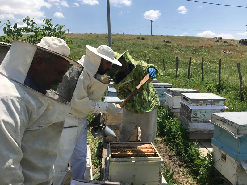 Our activities to create new livelihoods in the villages located in the impact area of ​​the Alpaslan-2 Dam and HEPP continue.(Muş / Türkiye)